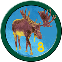 Badge 8 Badge